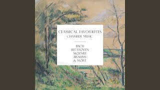 JS Bach Violin Sonata in G Major BWV 1021 IV Presto [upl. by Still]