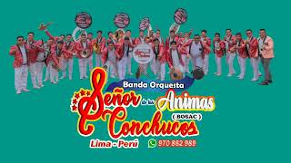 SOBREVIVIRÉ YARITA LIZETH BANDA ORQUESTA SEÑOR DE LAS ÁNIMAS CONCHUCOS BOSÁC PRIMICIA 2025 [upl. by Anivram]