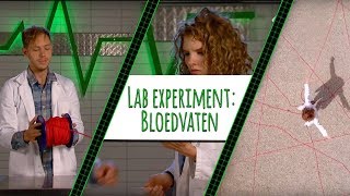 HOE LANG ZIJN JE BLOEDVATEN  LAB EXPERIMENT [upl. by Compte]