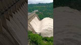 Srisailam Reservoir 10 Gates Lifted  Heavy Flood Water Release shorts srisailam dam [upl. by Lundeen]