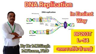 DNA Replication  Conservative Model  Biochemistry  BP203T  L54 [upl. by Pam265]