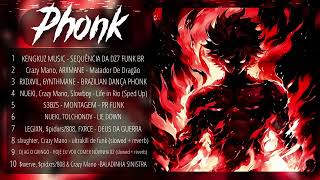 TOP BRAZILIAN PHONK FUNK MIX 2025🔥 BEST PHONK MIX🎧 Aggressive Phonk [upl. by Eet]