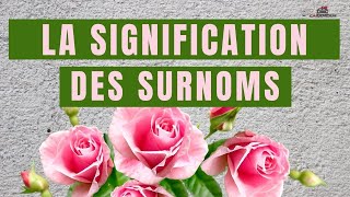 SURNOM DAMOUR MIGNON ET LEUR SIGNIFICATION [upl. by Yruok]