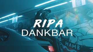 RIPA96  DANKBAR [upl. by Aynatal]