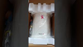 Unboxing Candes Geyser 25 Litre [upl. by Nahtaj902]