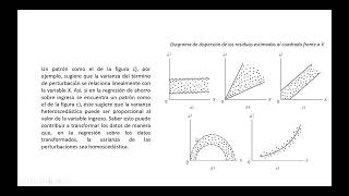 heterocedasticidad [upl. by Trude]