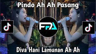 PINDO AH AH PASANG  LAMUNAN AH AH VIRAL TIKTOK 2024 [upl. by Scholz]