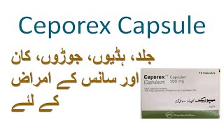 ceporex capsule 500mg uses  ceporex  cephalexin [upl. by Odom]