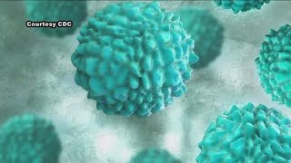 Norovirus cases on the rise How to protect yourself [upl. by Peyter]