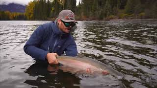 Swinging for Steelhead in British Columbia [upl. by Namzed]