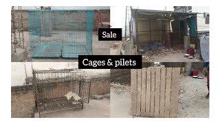 bakrao ke cages amp pilets available in chandryangutta baba nager Hyderabad [upl. by Ateuqahs]