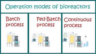 Types of Bioprocesses  Batch  Fed Batch and Continuous processes [upl. by Sivet]