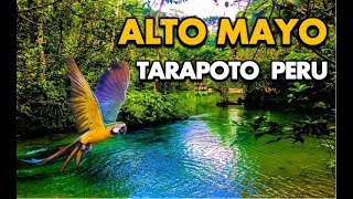 Alto Mayo Tarapoto Peru Full HD [upl. by Yelmene936]