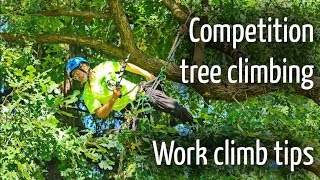 Competition tree climbing tips  Work Climb [upl. by Derina]