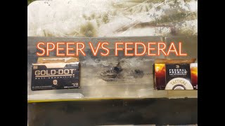 Federal Vs Speer 62gr 223 Bonded Soft Point Gel Test  4k60 [upl. by Ardnot]