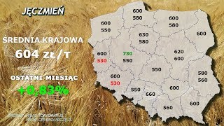 59 agro wiadomosci nonstop  20191104 [upl. by Sardse314]