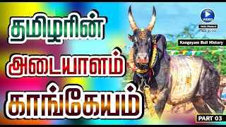 காங்கேயம் காளை வரலாறு  History of kangeyam bulls  Kangayam Bull  Hello Madurai  Jallikattu [upl. by Anirol]