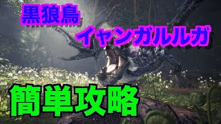 【MHWI】イャンガルルガ 簡単攻略 太刀 初心者向け装備 モンスターハンターワールド アイスボーン [upl. by Assetniuq5]