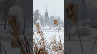 Winter at UMass [upl. by Enrobyalc]