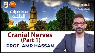 Cranial Nerves Part 1 أد عمرو حسن الحسني أستاذ المخ و الأعصاب [upl. by Betthezel]