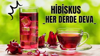 Hibiskus Neden Her Derde Deva Olarak Bilinmektedir   Hibiskus Çayının Bilinmeyen Faydaları [upl. by Fleda]