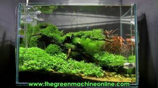 Riverbank Aquascape  The Green Machine by James Findley [upl. by Nehr754]