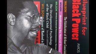 RBGDR AMOS WILSON ON BLACK ECONOMICS 1 OF 2 [upl. by Inait]