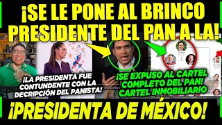 SAN LUNES PANISTA SE LE PONE AL BRINCO ¡A LA PRESIDENTA DE MÉXICO CLAUDIA ¡YA VALIÓ CHETOS [upl. by Rennug]