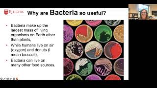 Bioremediation With Bacteria [upl. by Demb]