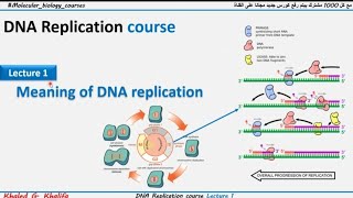 شرح بالعربي Meaning of DNA replication [upl. by Tyree]