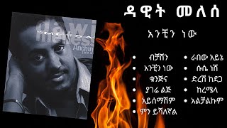 ዳዊት መለሰ  አንቺን ነው  ሙሉ አልበም  DAWIT MELESE  ANCHIN NEW  FULL ALBUM NONSTOP [upl. by Yrod]