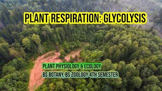 Respiration and Lipid Metabolism Glycolysis  Source Plant Physiology and Development 6th Edition [upl. by Krantz]