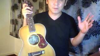 Maton Mini Diesel Special EMD6 Guitar Review in Singapore [upl. by Nafets]