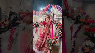 New trending entry divloveammu bollywood music hindisong song bollywoodsongs [upl. by Thornton741]