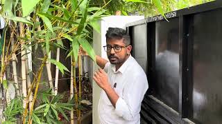 How I grow my bamboo tree Tamil  Dr Sam [upl. by Olia788]