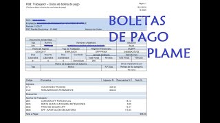 Como imprimir las boletas de pago del PLAME 2023  SUNAT [upl. by Procto]