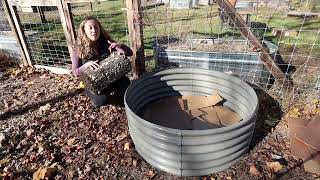 The easy and eco way to fill in metal raised beds of Anleolifemetalraisedgardenbed Hugelkultur [upl. by Azal988]