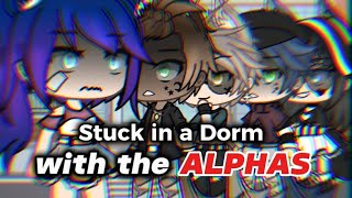 Stuck in a Dorm with the Alphas Ep 1 backstory series cringe title for a cringe video😘 [upl. by Hafeetal]