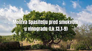 Molitva Spasitelju pred smokvom u vinogradu Lk 1319 [upl. by Amata]