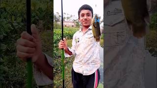 Catching big koi fish by hooking 🐠🐠🐠🐠🐠🐠🐠fishing shortvideo catching [upl. by Ekyt]