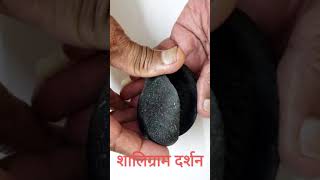 Original Shaligram Darshan  असली शालिग्राम दर्शन करें Shorts [upl. by Soni]