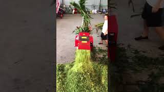 Top model plant cutting machine in the world fnbanglasociety machine elictrical [upl. by Beryle]