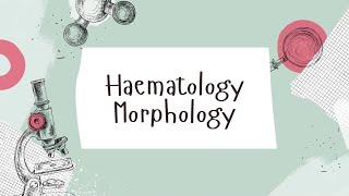 Haematology Morphology  Case 3 [upl. by Leirbaj]