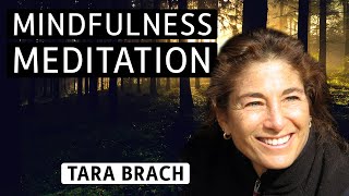 Meditation with Tara Brach Developing SelfCompassion [upl. by Anaujnas]