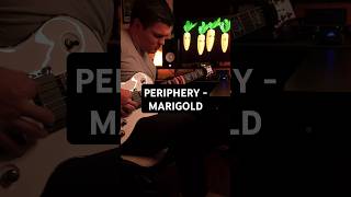 PERIPHERY  MARIGOLD instrumental cover guitar metalcover periphery [upl. by Savannah]