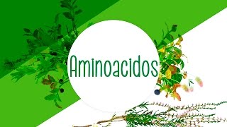 Aminoácidos [upl. by Sirmons]