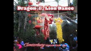 SPECTACULAR DRAGON amp LION DANCE 2024  Canterbury League Club  Sydney Australia [upl. by Storm657]