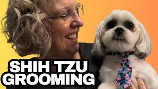 Grooming This Feisty Dog  MalteseShih Tzu  Poncho [upl. by Errol]