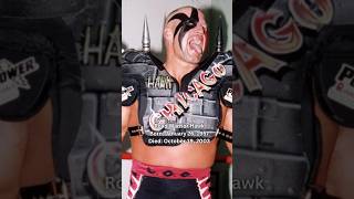 Road Warrior Hawk Was A Great Tag Team Wrestler🕊️roadwarrior wwe fy shorts wrestling tribute [upl. by Phonsa64]