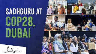 Soil At The Heart of COP28 Dubai  Sadhguru [upl. by Kamerman]